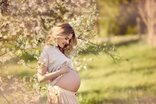 Pregnancy