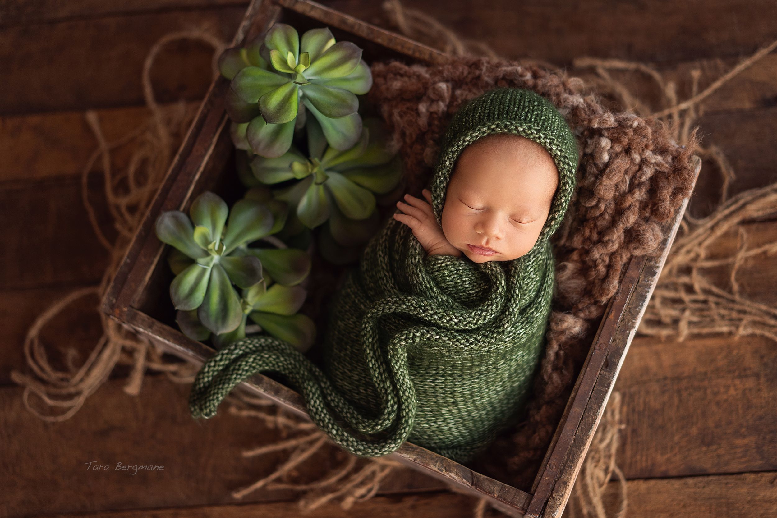 Newborn